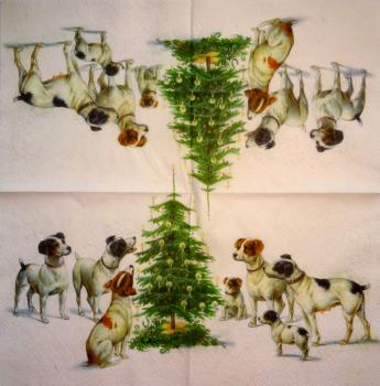 329 Dogs - 3-ply - Specials